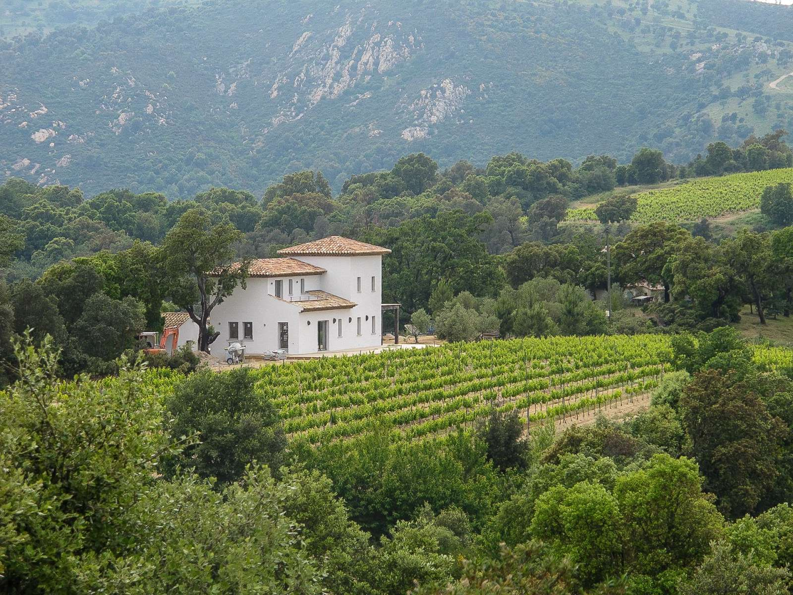 Vineyard Villa with Alpine Views Near Saint-Tropez