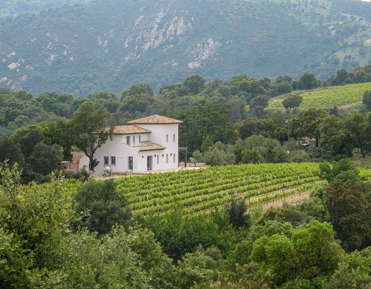 Vineyard Villa with Alpine Views Near Saint-Tropez - ref 2301