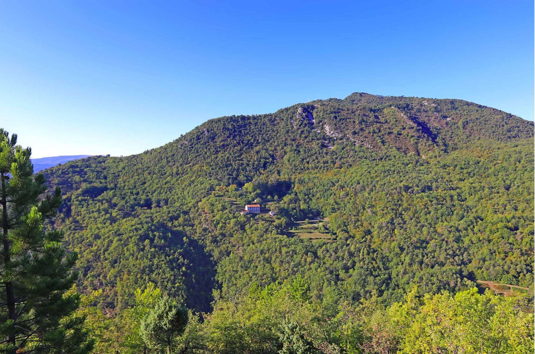 Vaste propriété de 118 hectares à fort potentiel à 40 km de Nice