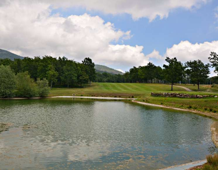 Vast 69-Hectare Golf Course Property near Cannes with Investment Potential - ref 7021