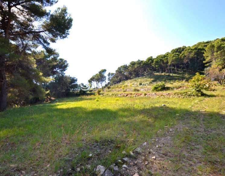 Expansive Sea View Land in Prestigious Cannes Area - ref 7763